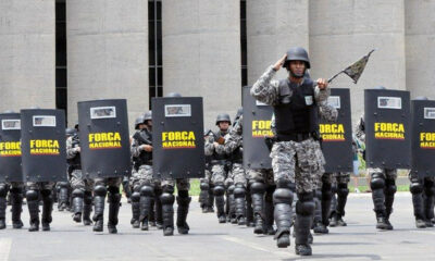 força nacional de segurança