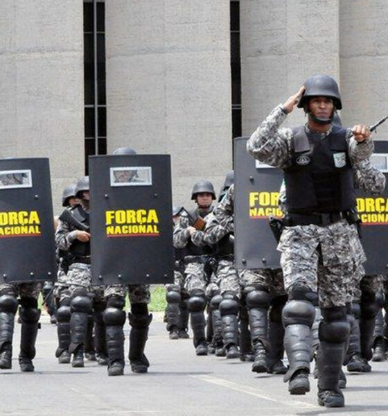 força nacional de segurança