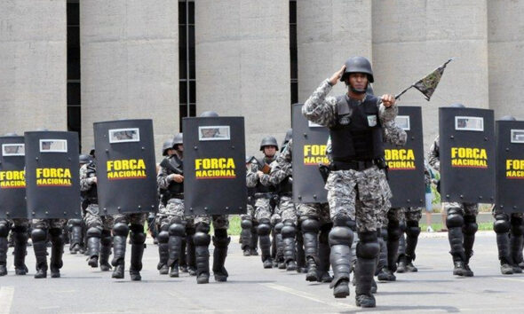 força nacional de segurança