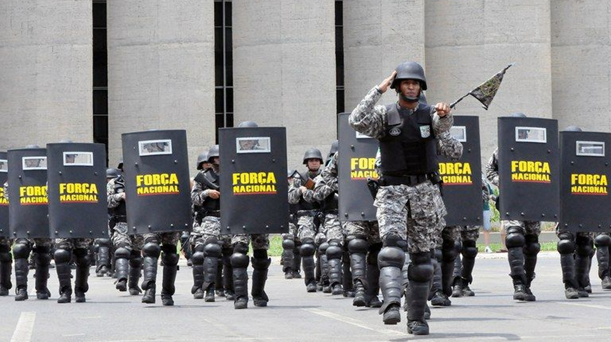 força nacional de segurança