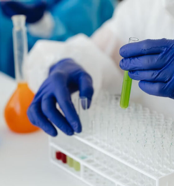 Inteligência artificial cria vírus em laboratório de pesquisa